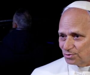 Pope Leo offers Thanksgiving message to Americans