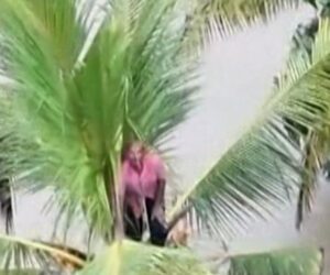 Dozens killed by floods and landslides in Sri Lanka