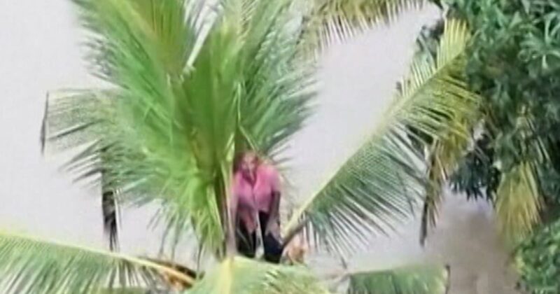 Dozens killed by floods and landslides in Sri Lanka