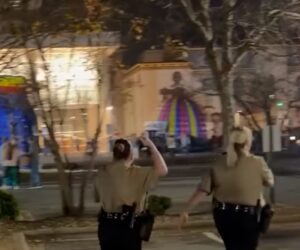 Chaos after gunshots ring out at tree lighting ceremony