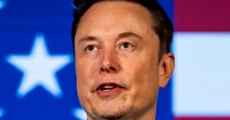 Elon Musk’s DOGE shuts down eight months early