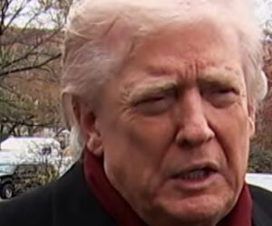 Zelenskyy can ‘fight his little heart out’ if he rejects peace plan