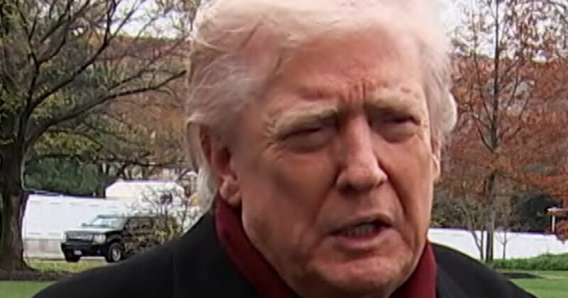 Zelenskyy can ‘fight his little heart out’ if he rejects peace plan