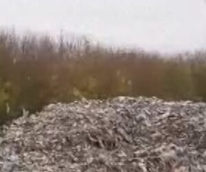 Trash pile near U.K. road poses ‘ecological disaster’