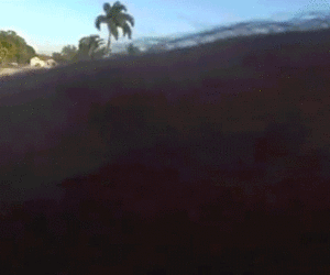 Florida teenager faces charge after shovel attack on police car: officials