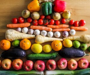 The Rise, Fall, and Potential Return of the Food Pyramid