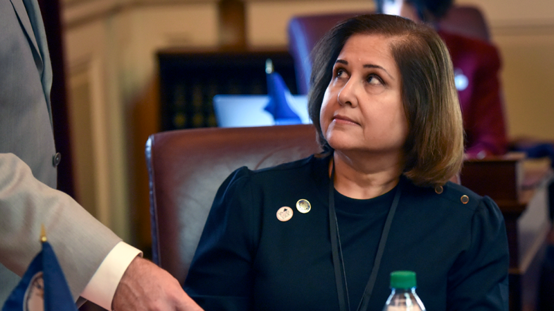 Virginia elects first Muslim lieutenant governor as Democrat Hashmi wins