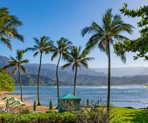 Popular Hawaii vacation spot closes after surfer shark bite