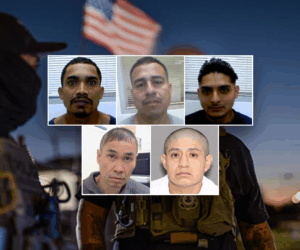 ‘Nightmares and PTSD’ prevented: ICE touts results of Texas crackdown