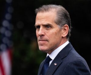Hunter Biden urges Democrats to ‘turn the temperature up’ during podcast