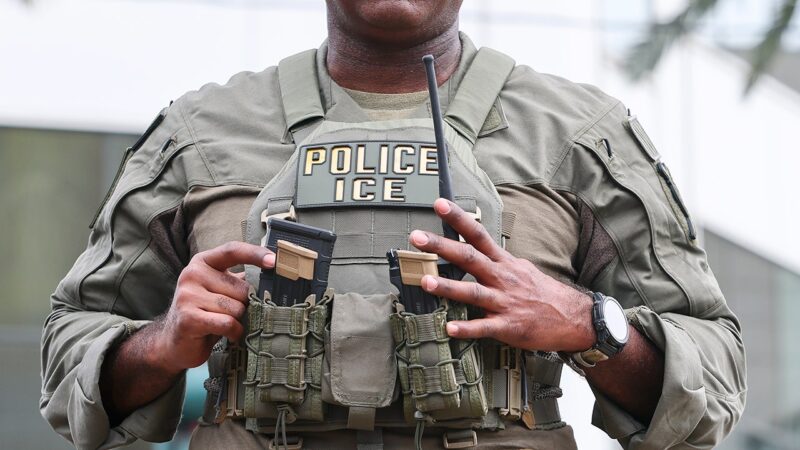 Republican lawmakers thank ICE workers in Homeland Security’s Thanksgiving video