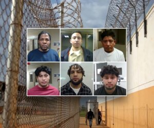 ICE operations in Virginia nab rapists, abusers and traffickers in just a single week