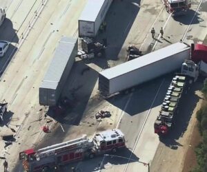 Florida congressman targets sanctuary states over illegal CDL issue