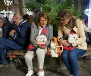 Town in Italy considers hitting tourists with $2 daily dog tax as critics push back