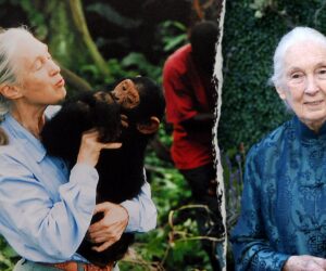 Here’s how Jane Goodall’s deep Christian faith sustained her until death at 91