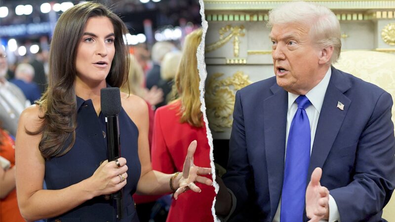 CNN’s Kaitlan Collins claims it’s not her job to ‘take down’ President Trump