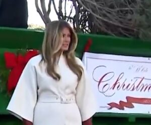 Melania Trump receives White House Christmas tree