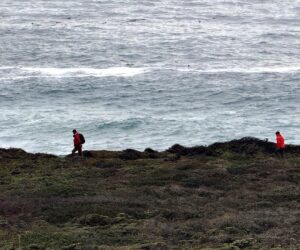 Father, daughter die at Garrapata State Beach after massive wave hits