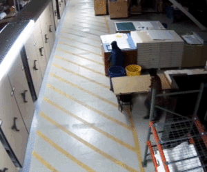 Oakland museum heist sees over 1,000 items stolen, FBI seeks suspects