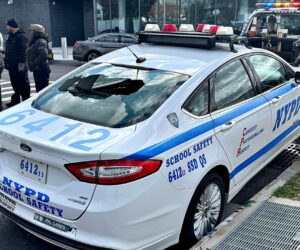 22-year-old arrested after allegedly vandalizing 11 NYPD vehicles