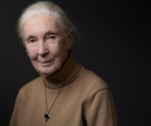 Jane Goodall’s Plea for Future Generations