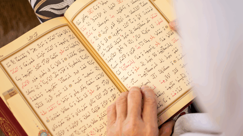 Anti-Islam activists clash with pro-Muslim counter-protesters in Dearborn, Michigan