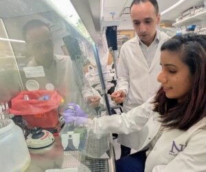 Scientists develop immune system breakthrough for pancreatic cancer