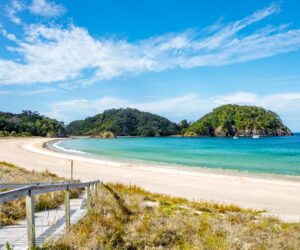 New Zealand relaxes its ‘golden’ visa rules, sees 72% surge in US applications