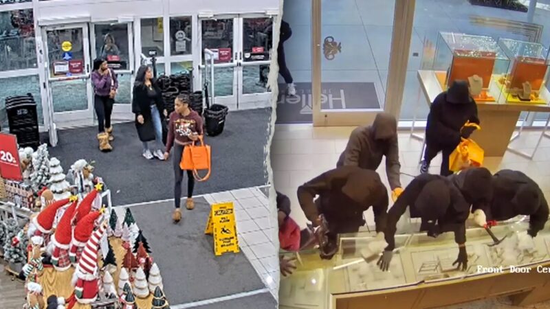 Former NYPD detective calls Black Friday the shoplifters’ ‘Super Bowl’