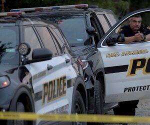 Three employees fatally shot at Texas landscape business, suspect found: police