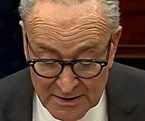 Schumer offers deal to end government shutdown