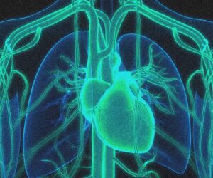 A Gene Editing Therapy Cut Cholesterol Levels by Half