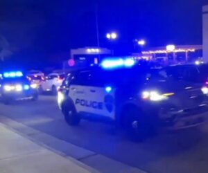 North Carolina Christmas tree lighting shooting leaves 4 wounded