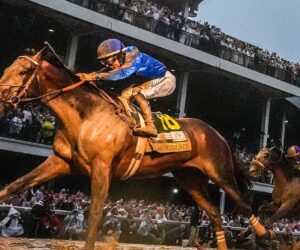Last two Kentucky Derby winners scratched from Breeders Cup