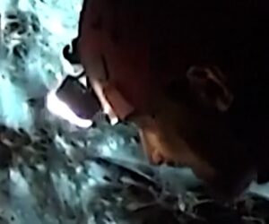 Researchers find massive spider web in cave