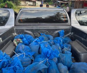 Men caught with 81 monkeys and meth in Thailand