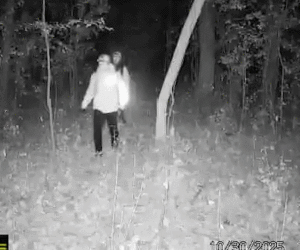 South American theft groups suspected in Wisconsin home burglaries