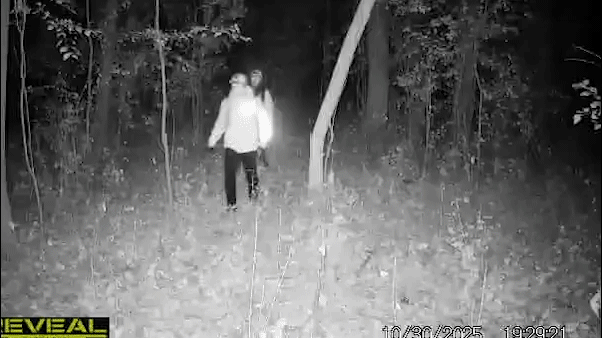 South American theft groups suspected in Wisconsin home burglaries