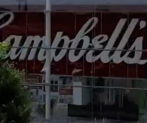 Campbell’s fires exec accused of making racist comments