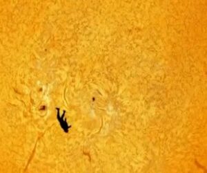Photo captures skydiver appearing to fall from the Sun