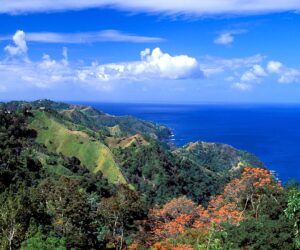 Colorado man Christopher Brown killed in Tobago stabbing, suspect arrested