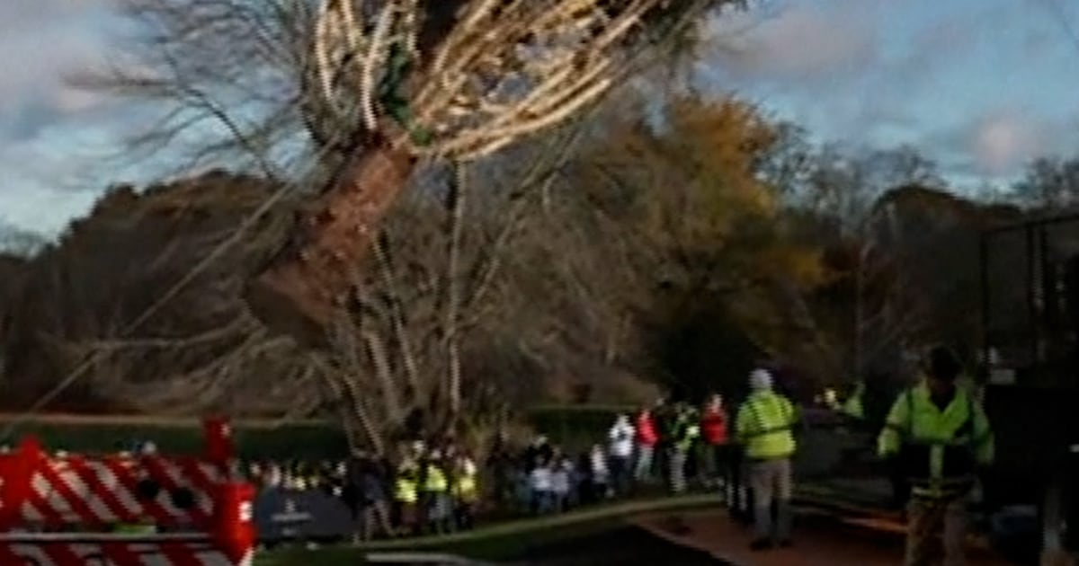 Rockefeller Center Christmas tree heads to NYC