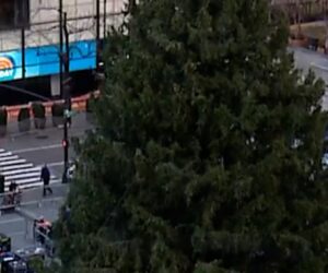 Scaffolding comes down from Rockefeller Christmas tree