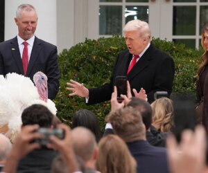 Trump pardons turkeys Gobble and Waddle in annual White House tradition