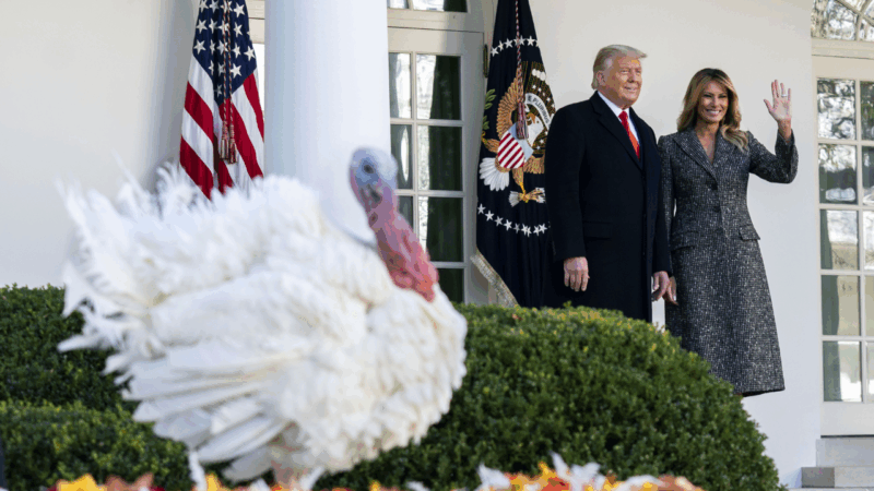 Trump kicks off holidays this week at the White House with turkey pardon