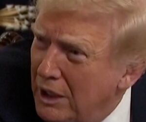 Trump confronts reporter over question on DC shooter