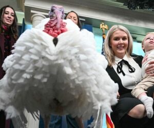 Trump to pardon turkeys Waddle and Gobble at White House ceremony