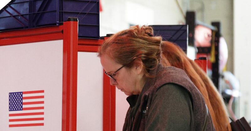 How did the shutdown affect voter turnout in Virginia?