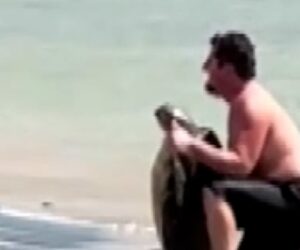 Hawaii officials investigate man picking up sea turtle