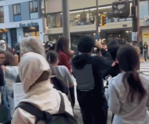 Fight breaks out near UC Berkeley before Turning Point USA tour finale